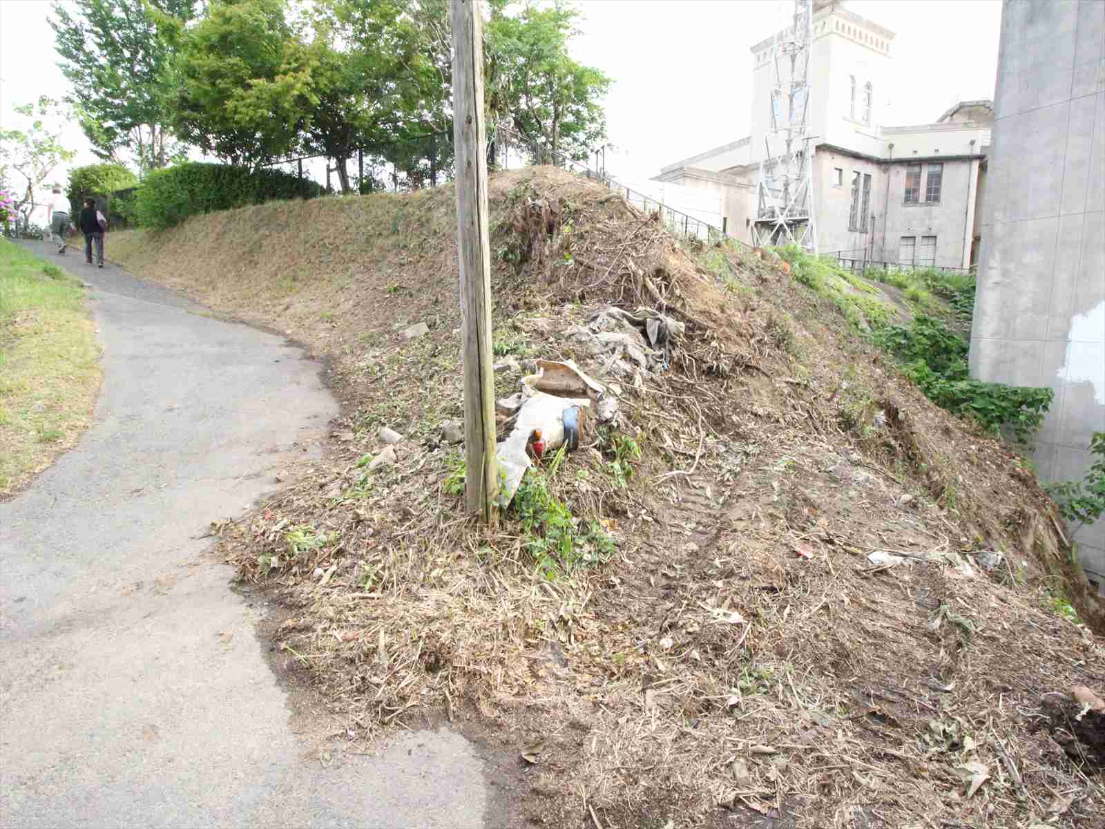 自社賃貸物件の草刈を終了しました