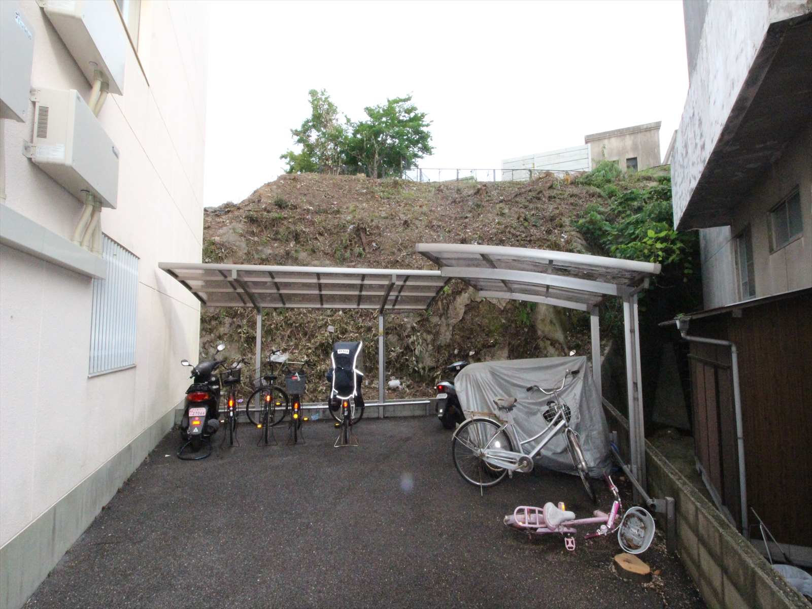 自社賃貸物件の草刈を終了しました